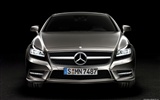 Mercedes-Benz CLS-class - 2010 HD wallpaper #8