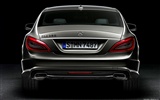 Mercedes-Benz CLS-class - 2010 奔驰9