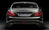 Mercedes-Benz CLS-class - 2010 奔驰10