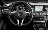 Mercedes-Benz CLS-class - 2010 奔驰12