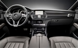 Mercedes-Benz CLS-class - 2010 奔驰13