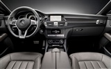 Mercedes-Benz CLS-class - 2010 HD wallpaper #13