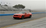 Ford Mustang Boss 302 - 2012 HD tapetu #12