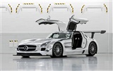 Mercedes-Benz SLS AMG GT3 - 2010 fondos de escritorio de alta definición