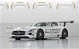 Mercedes-Benz SLS AMG GT3 - 2010 fonds d'écran HD #2