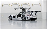 Mercedes-Benz SLS AMG GT3 - 2010 奔驰3