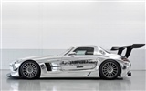 Mercedes-Benz SLS AMG GT3 - 2010 奔驰4