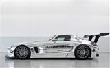 Mercedes-Benz SLS AMG GT3 - 2010 HD wallpaper #4