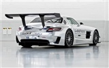 メルセデスベンツSLSのAMGのGT3を - 2010のHDの壁紙 #5