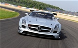 メルセデスベンツSLSのAMGのGT3を - 2010のHDの壁紙 #6