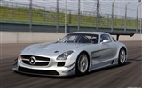 Mercedes-Benz SLS AMG GT3 - 2010 HD Wallpaper #8