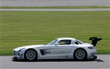 Mercedes-Benz SLS AMG GT3 - 2010 奔驰12