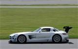 Mercedes-Benz SLS AMG GT3 - 2010 HD wallpaper #12