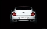 Bentley Continental Supersports - 2009 HD Wallpaper #5