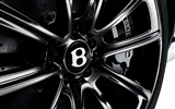 Bentley Continental Supersports - 2009 HD Wallpaper #7