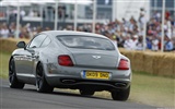 Bentley Continental Supersport - 2009 fondos de escritorio de alta definición #13