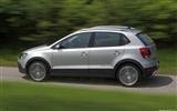 Volkswagen CrossPolo - 2010 HD tapetu #17