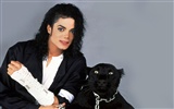 Michael Jackson 邁克爾·傑克遜 壁紙(一) #3