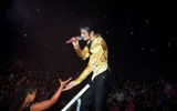 Michael Jackson 邁克爾·傑克遜 壁紙(一) #19