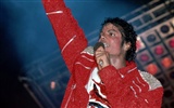 Michael Jackson 迈克尔·杰克逊 壁纸(二)19