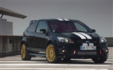Ford Focus RS Le Mans Classic - 2010 福特2