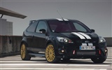 Ford Focus RS Le Mans Classic - 2010 HD tapetu #2