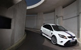 Ford Focus RS Le Mans Classic - 2010 福特7
