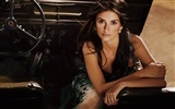 Penelope Cruz 佩內洛普·克魯茲 美女壁紙 #4