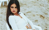 Penelope Cruz 佩內洛普·克魯茲 美女壁紙 #8