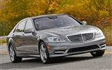 Mercedes-Benz S550 - 2010 奔馳 #12