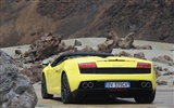 Lamborghini Gallardo LP560-4 Spyder - 2009 fonds d'écran HD #7