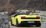 Lamborghini Gallardo LP560-4 Spyder - 2009 兰博基尼7