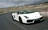 Lamborghini Gallardo LP560-4 Spyder - 2009 蘭博基尼 #17