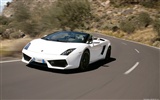 Lamborghini Gallardo LP560-4 Spyder - 2009 兰博基尼19