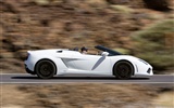 Lamborghini Gallardo LP560-4 Spyder - 2009 HD wallpaper #25