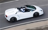 Lamborghini Gallardo LP560-4 Spyder - 2009 蘭博基尼 #26