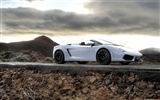 Lamborghini Gallardo LP560-4 Spyder - 2009 HD Wallpaper #27