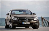 Mercedes-Benz CL600 - 2010 奔馳 #10