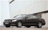 Mercedes-Benz CL600 - 2010 奔驰16