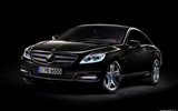 Mercedes-Benz CL600 - 2010 fonds d'écran HD #29