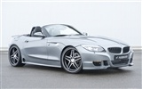 Hamann BMW Z4 E89 - 2010 fondos de escritorio de alta definición #4