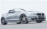 Hamann BMW Z4 E89 - 2010 fonds d'écran HD #5