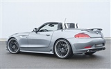 Hamann BMW Z4 E89 - 2010 寶馬 #6