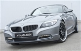 Hamann BMW Z4 E89 - 2010 fondos de escritorio de alta definición #8