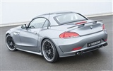 ハマンZ4モデルE89 - 2010のHDの壁紙 #9