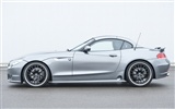 Hamann BMW Z4 E89 - 2010 HD wallpaper #12