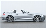 Hamann BMW Z4 E89 - 2010 宝马13