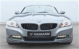 ハマンZ4モデルE89 - 2010のHDの壁紙 #15