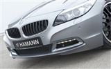Hamann BMW Z4 E89 - 2010 宝马16
