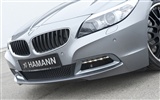 Hamann BMW Z4 E89 - 2010 寶馬 #16